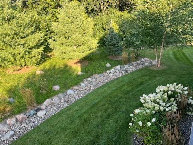 7336 Harkness Way S, Cottage Grove, MN 55016 - photo 56