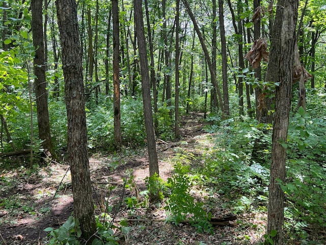 000 Cross Lake Rd, Chengwatana Twp, MN 55063 - photo 1