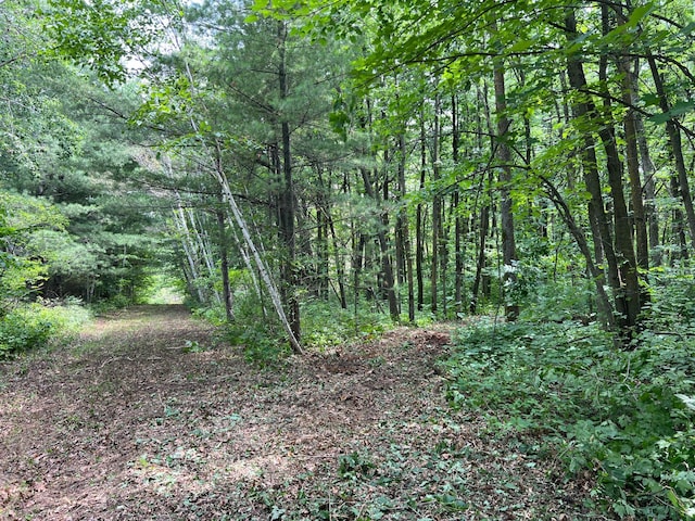 000 Cross Lake Rd, Chengwatana Twp, MN 55063 - photo 2