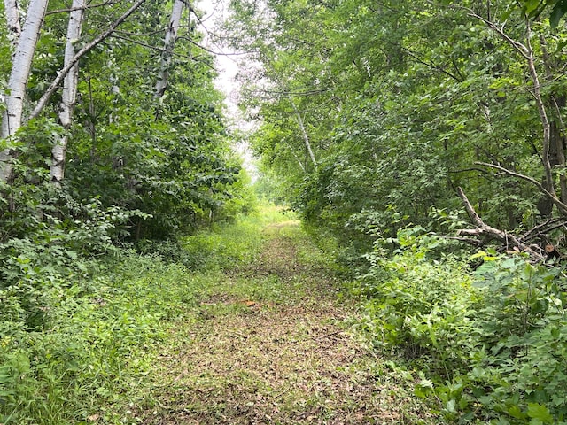 000 Cross Lake Rd, Chengwatana Twp, MN 55063 - photo 6
