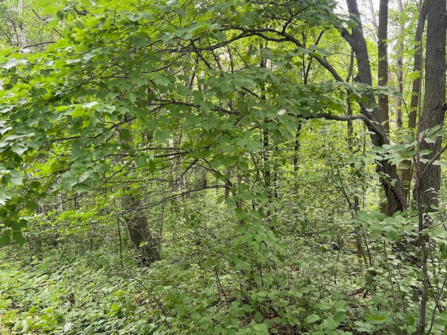 000 Cross Lake Rd, Chengwatana Twp, MN 55063 - photo 10