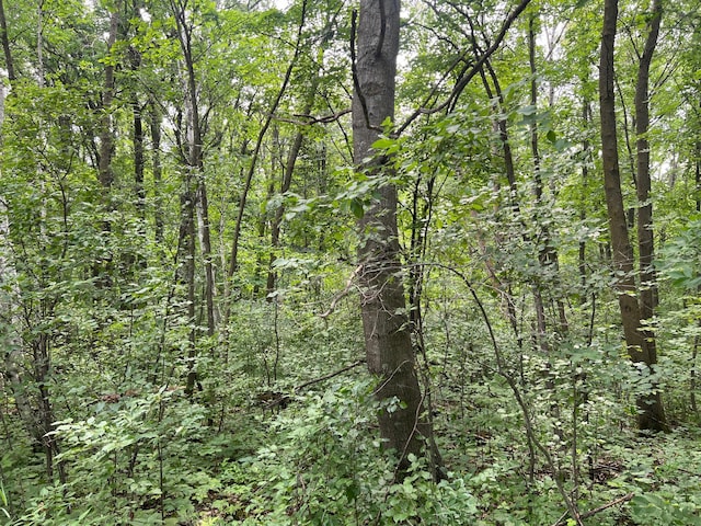 000 Cross Lake Rd, Chengwatana Twp, MN 55063 - photo 11
