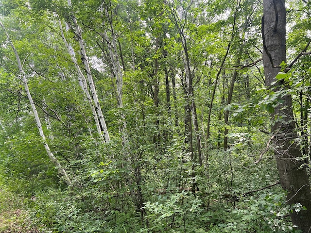 000 Cross Lake Rd, Chengwatana Twp, MN 55063 - photo 12