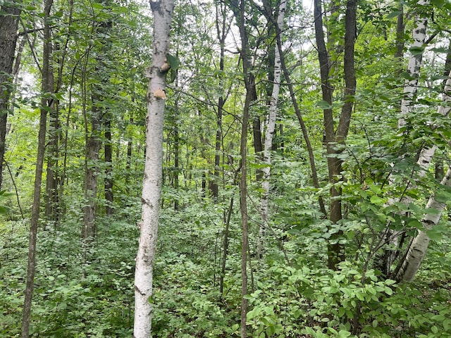 000 Cross Lake Rd, Chengwatana Twp, MN 55063 - photo 13