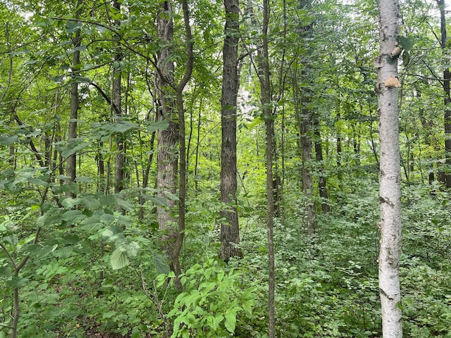 000 Cross Lake Rd, Chengwatana Twp, MN 55063 - photo 14