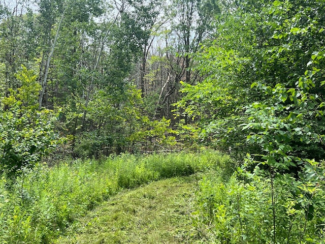 000 Cross Lake Rd, Chengwatana Twp, MN 55063 - photo 16
