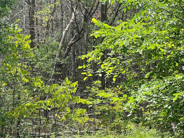 000 Cross Lake Rd, Chengwatana Twp, MN 55063 - photo 17
