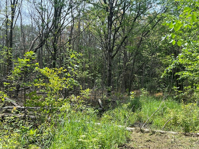 000 Cross Lake Rd, Chengwatana Twp, MN 55063 - photo 18