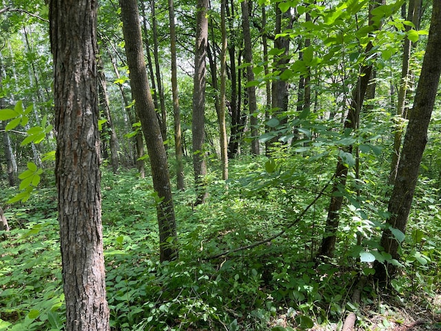 000 Cross Lake Rd, Chengwatana Twp, MN 55063 - photo 20