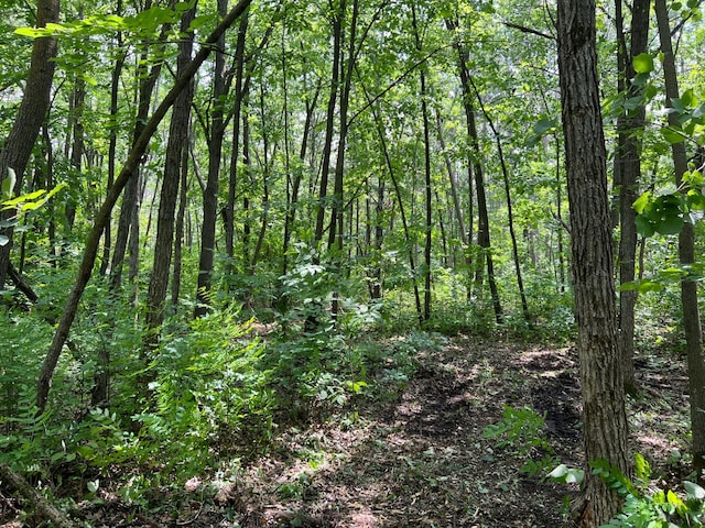 000 Cross Lake Rd, Chengwatana Twp, MN 55063 - photo 22