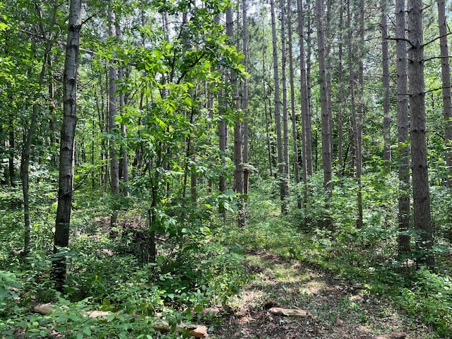 000 Cross Lake Rd, Chengwatana Twp, MN 55063 - photo 24