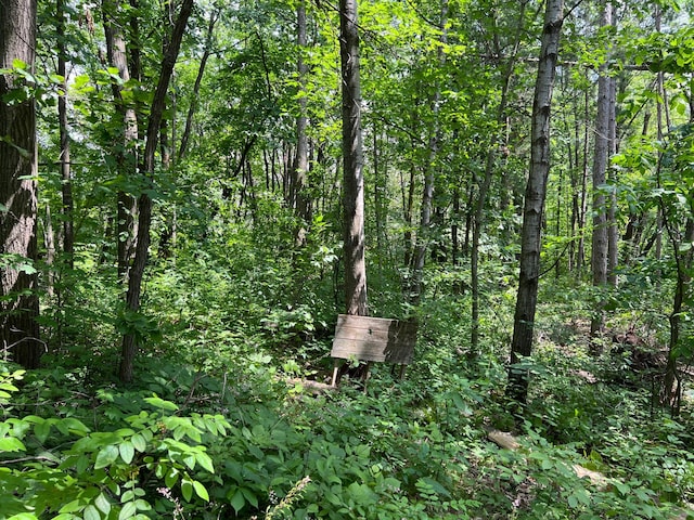 000 Cross Lake Rd, Chengwatana Twp, MN 55063 - photo 25