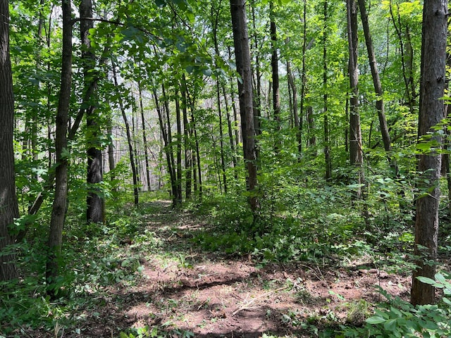 000 Cross Lake Rd, Chengwatana Twp, MN 55063 - photo 26