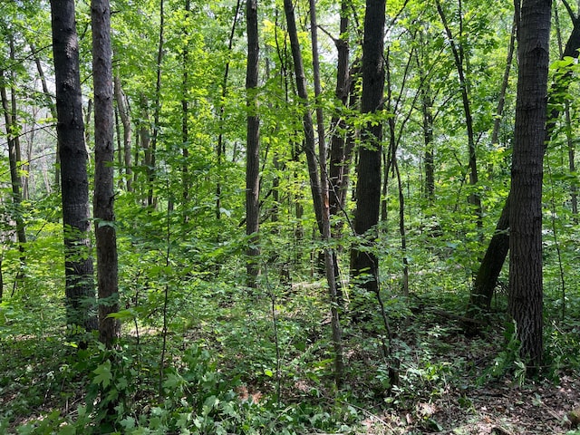000 Cross Lake Rd, Chengwatana Twp, MN 55063 - photo 27
