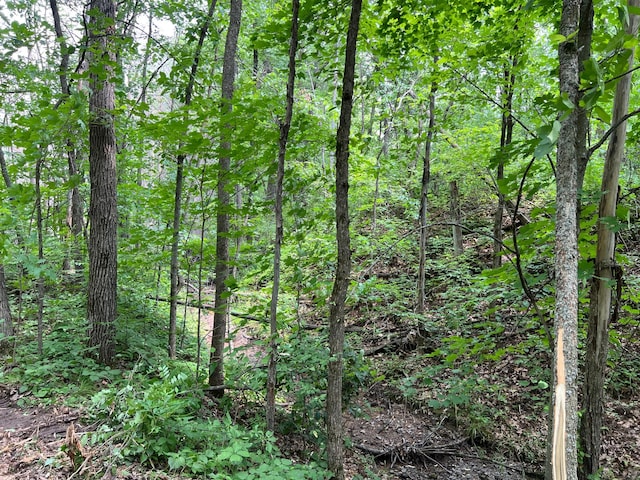 000 Cross Lake Rd, Chengwatana Twp, MN 55063 - photo 28