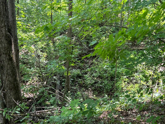 000 Cross Lake Rd, Chengwatana Twp, MN 55063 - photo 31