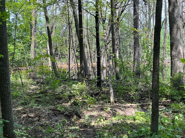 000 Cross Lake Rd, Chengwatana Twp, MN 55063 - photo 32