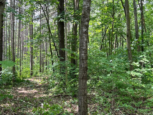 000 Cross Lake Rd, Chengwatana Twp, MN 55063 - photo 33