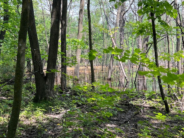 000 Cross Lake Rd, Chengwatana Twp, MN 55063 - photo 34