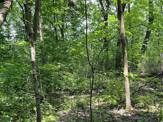 000 Cross Lake Rd, Chengwatana Twp, MN 55063 - photo 35