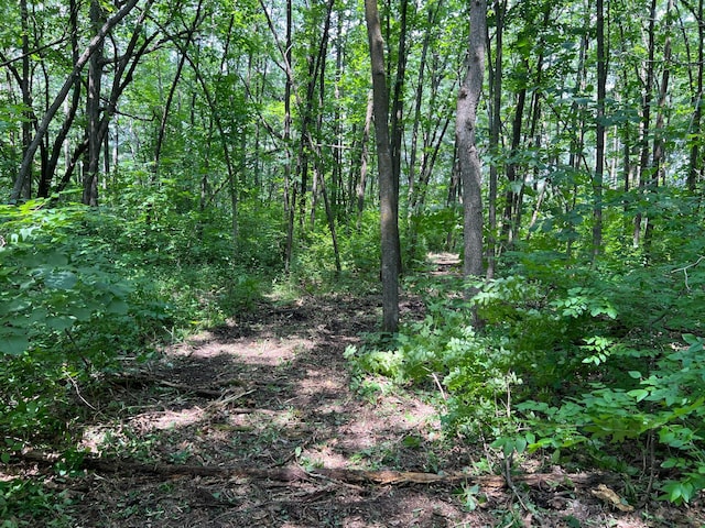 000 Cross Lake Rd, Chengwatana Twp, MN 55063 - photo 38