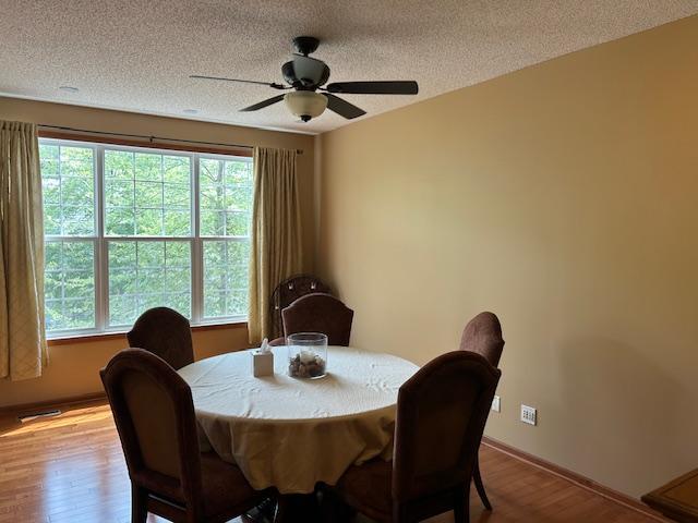 3852 La Belle St, Columbia Heights, MN 55421 - photo 10