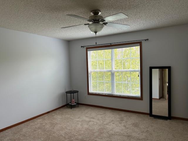 3852 La Belle St, Columbia Heights, MN 55421 - photo 16