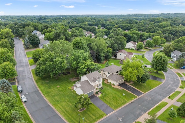 13456 Daffodil Path, Rosemount, MN 55068 - photo 3