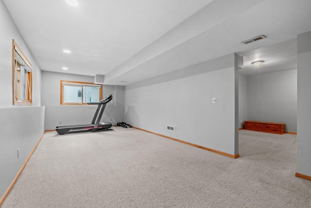 13456 Daffodil Path, Rosemount, MN 55068 - photo 42