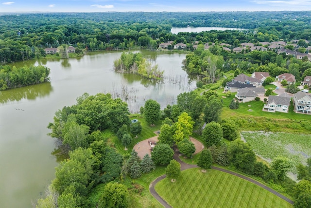 13456 Daffodil Path, Rosemount, MN 55068 - photo 62
