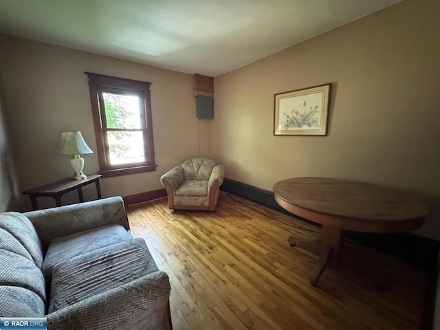 1027 Chapman St, Ely, MN 55731 - living area with light wood-style floors and baseboards