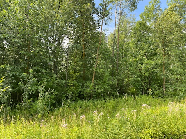 5181 175th St, Ogilvie, MN 56358 - photo 10