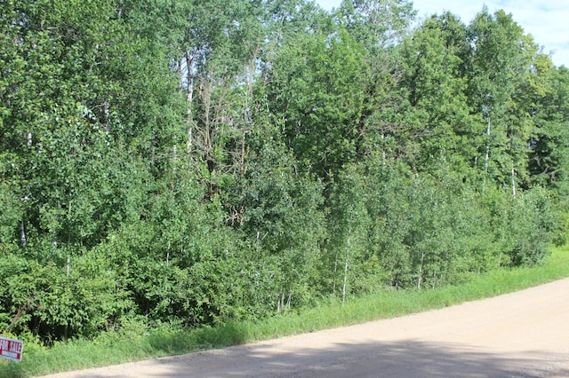 TBD Wilderness Bay Rd, Savannah Twp, MN 56470 - photo 1