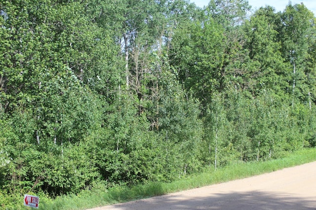 TBD Wilderness Bay Rd, Savannah Twp, MN 56470 - photo 2