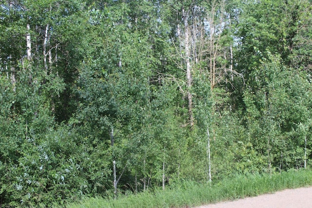 TBD Wilderness Bay Rd, Savannah Twp, MN 56470 - photo 3
