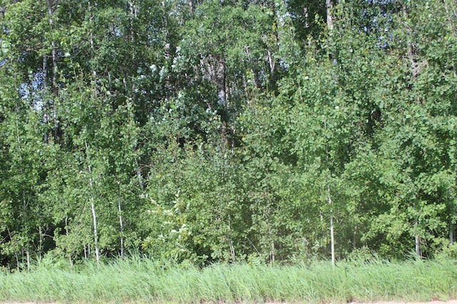 TBD Wilderness Bay Rd, Savannah Twp, MN 56470 - photo 4