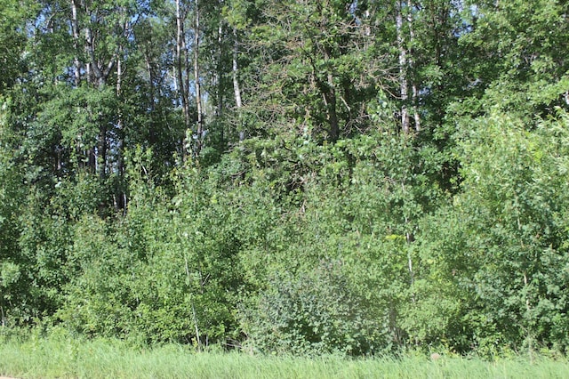 TBD Wilderness Bay Rd, Savannah Twp, MN 56470 - photo 5
