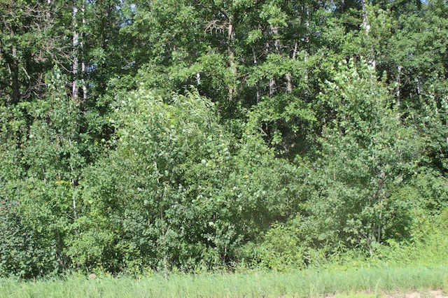 TBD Wilderness Bay Rd, Savannah Twp, MN 56470 - photo 6