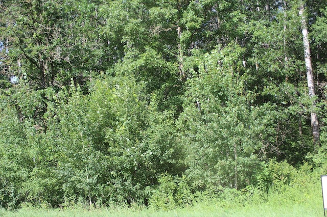 TBD Wilderness Bay Rd, Savannah Twp, MN 56470 - photo 7