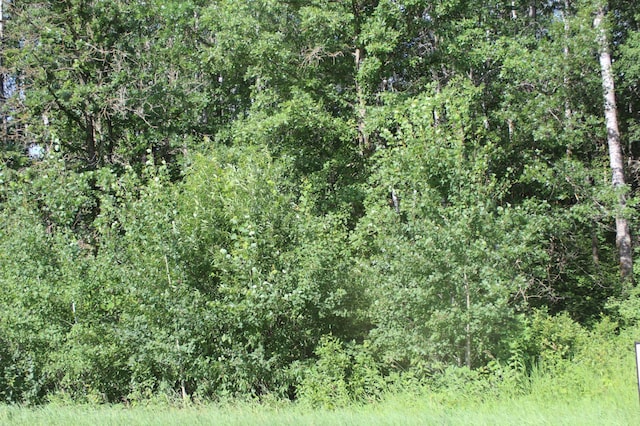 TBD Wilderness Bay Rd, Savannah Twp, MN 56470 - photo 8