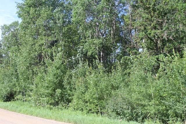TBD Wilderness Bay Rd, Savannah Twp, MN 56470 - photo 9