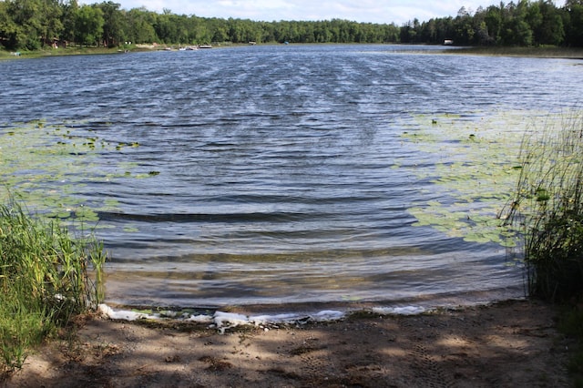 TBD Wilderness Bay Rd, Savannah Twp, MN 56470 - photo 14