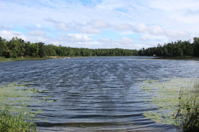 TBD Wilderness Bay Rd, Savannah Twp, MN 56470 - photo 15