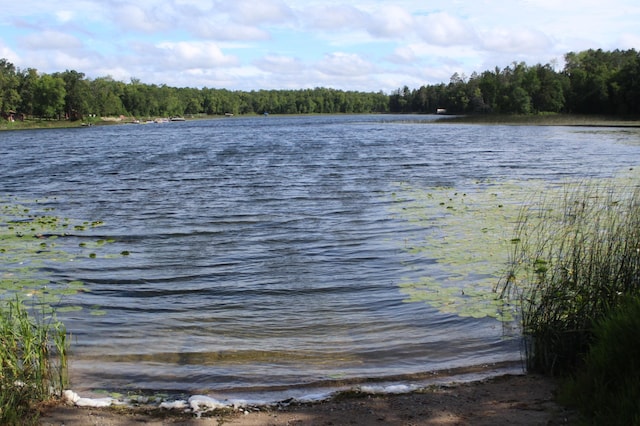 TBD Wilderness Bay Rd, Savannah Twp, MN 56470 - photo 16