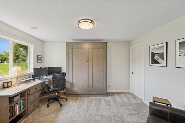 6396 111th Cir N, Champlin, MN 55316 - photo 19