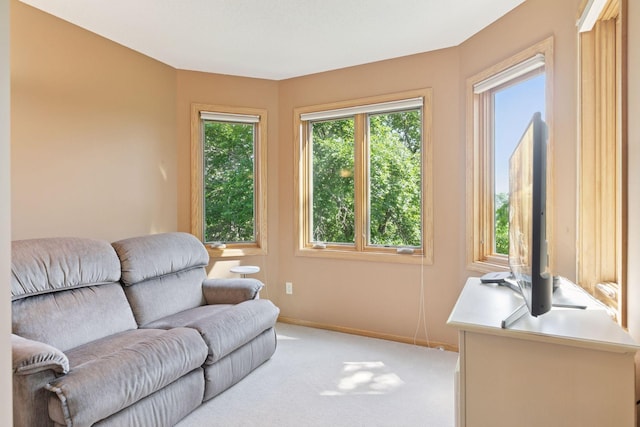 9741 Wellington Rdg, Woodbury, MN 55125 - photo 26