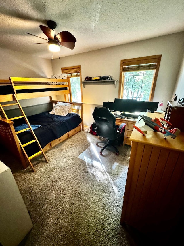 4580 Nason Pkwy NE, Saint Michael, MN 55376 - photo 30