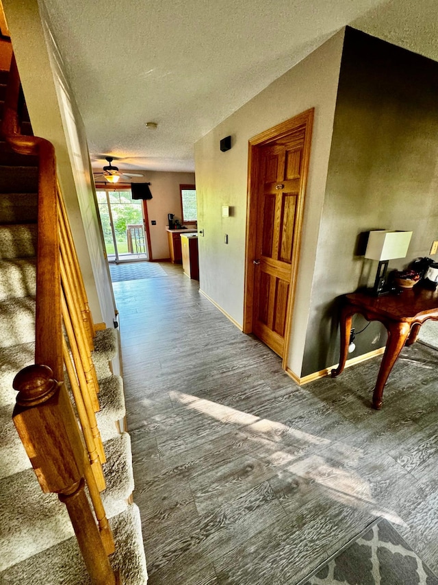 4580 Nason Pkwy NE, Saint Michael, MN 55376 - photo 20