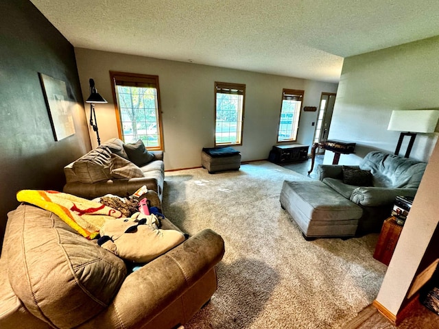4580 Nason Pkwy NE, Saint Michael, MN 55376 - photo 25