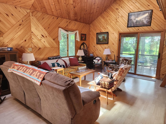 32636 Birchwood Shore Dr, Underwood, MN 56586 - photo 5
